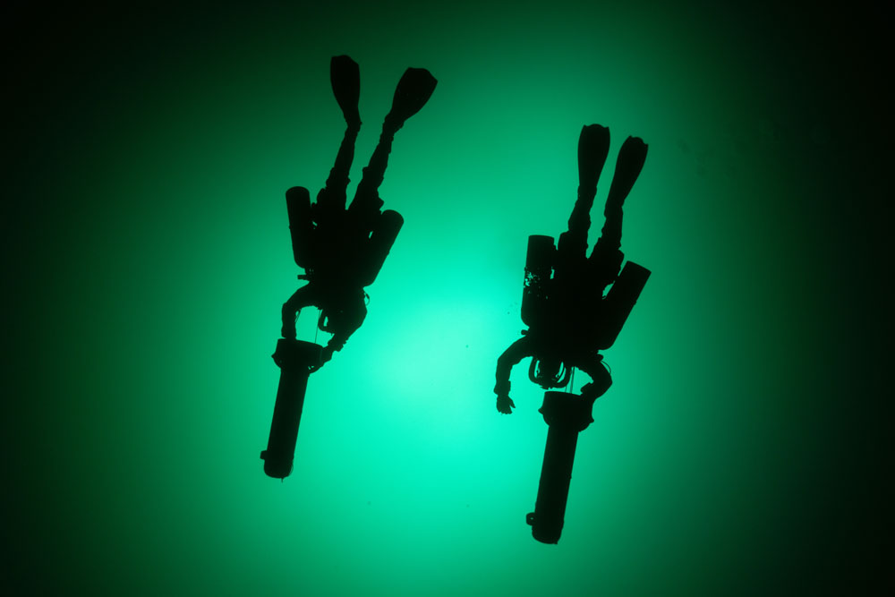 Training Excellence ?>